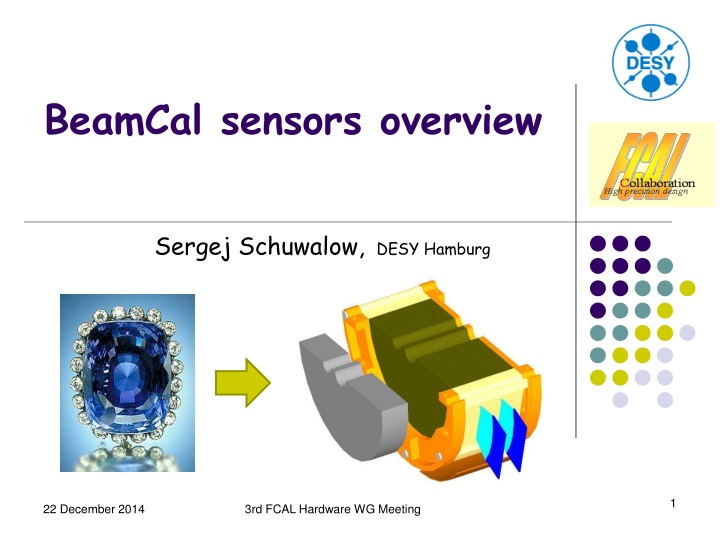 beamcal sensors overview n.w