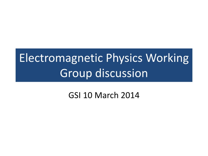 electromagnetic physics working group discussion n.w