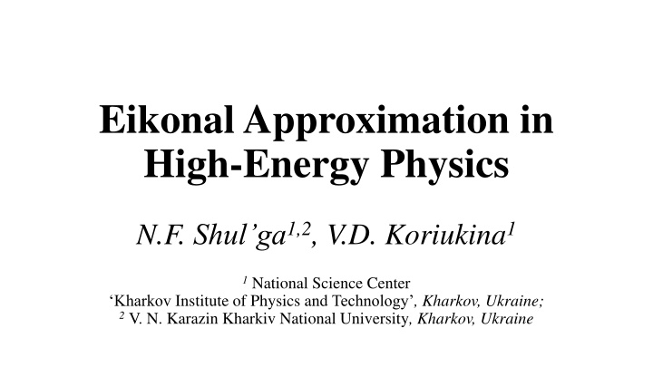 eikonalapproximation in high energy physics n.w