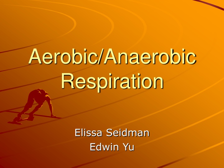 aerobic anaerobic respiration n.w