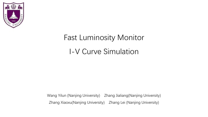 fast luminosity monitor n.w