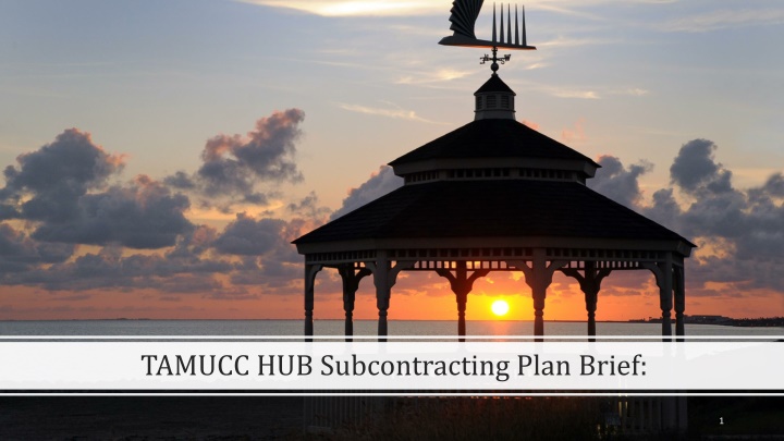tamucc hub subcontracting plan brief n.w
