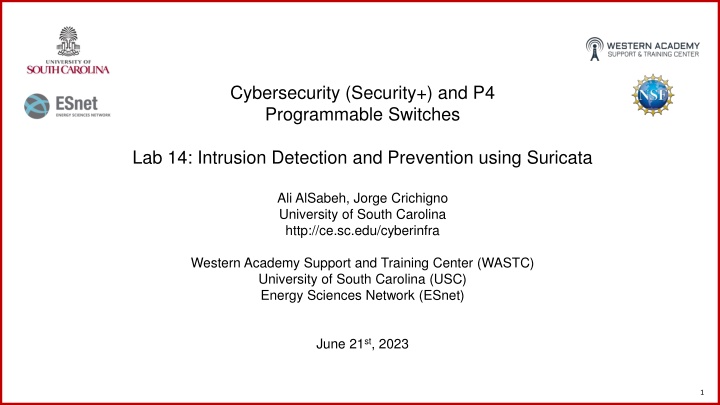 cybersecurity security and p4 programmable n.w