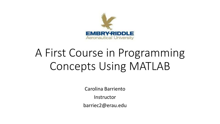 a first course in programming concepts using n.w