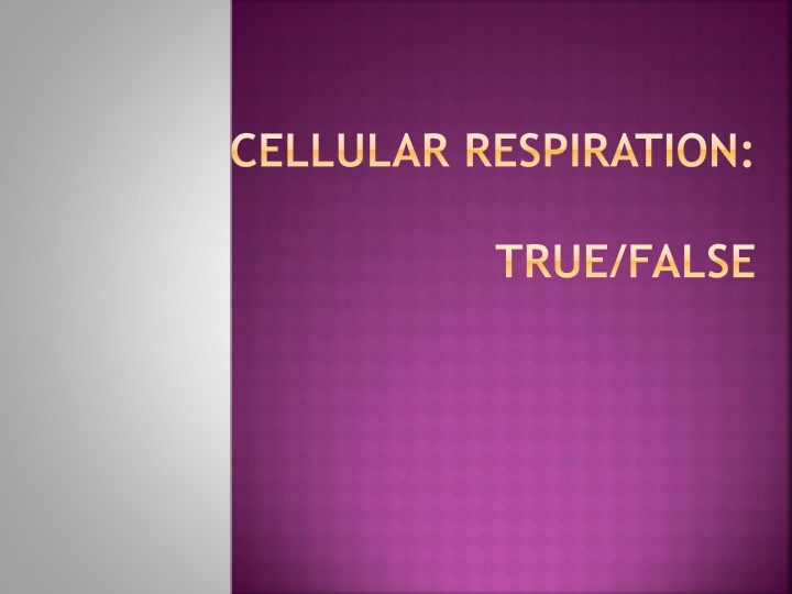 Cellular Respiration Process and Energy Transformation