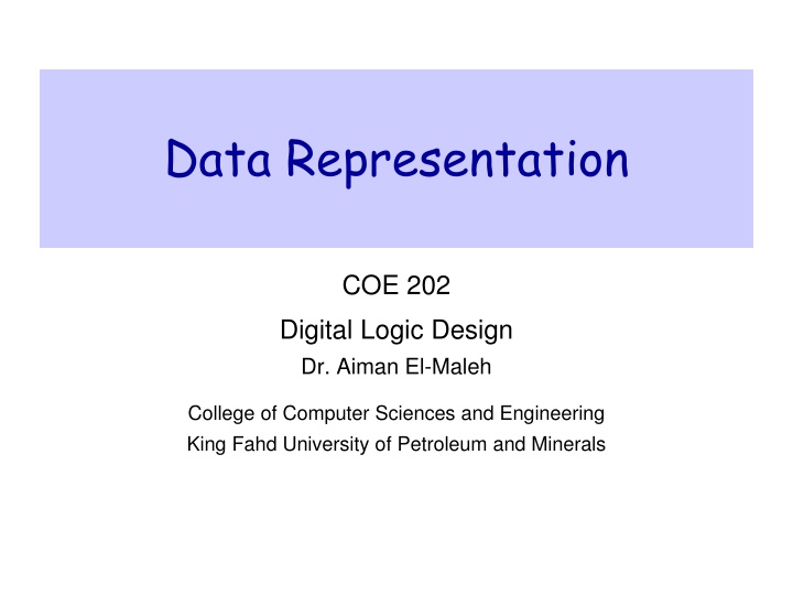 data representation n.w