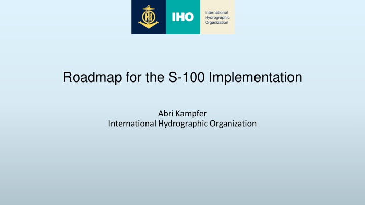 roadmap for the s 100 implementation n.w