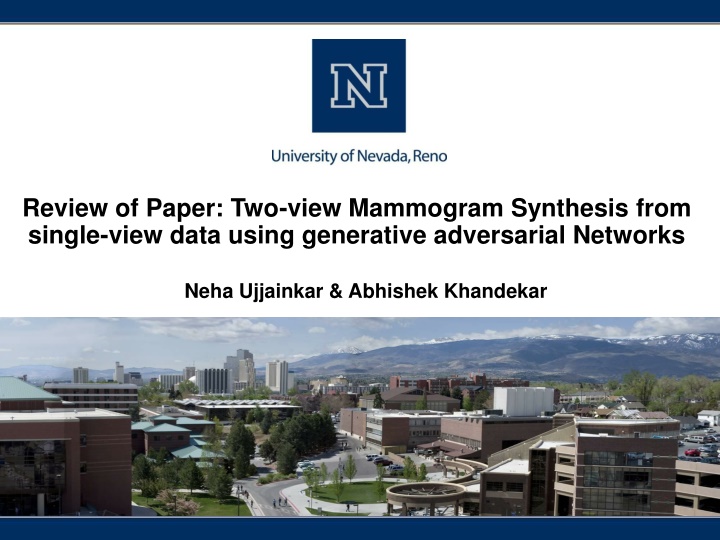 review of paper two view mammogram synthesis from n.w