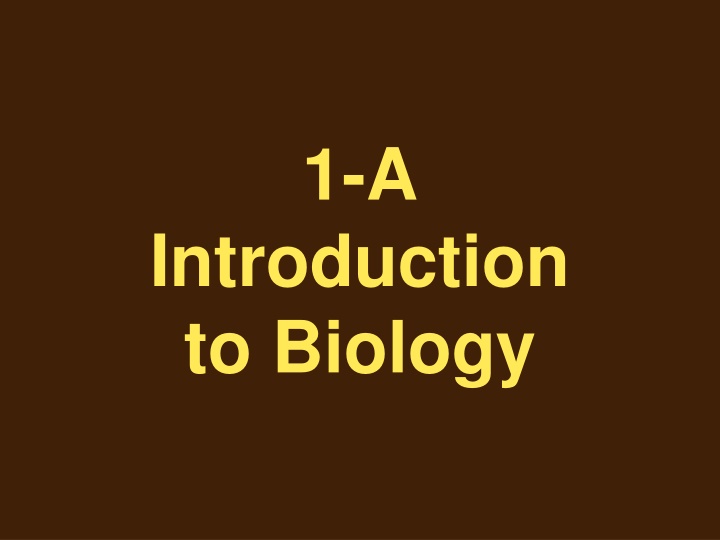 slide1 n.w