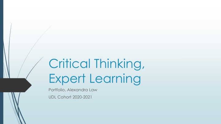 critical thinking expert learning portfolio n.w