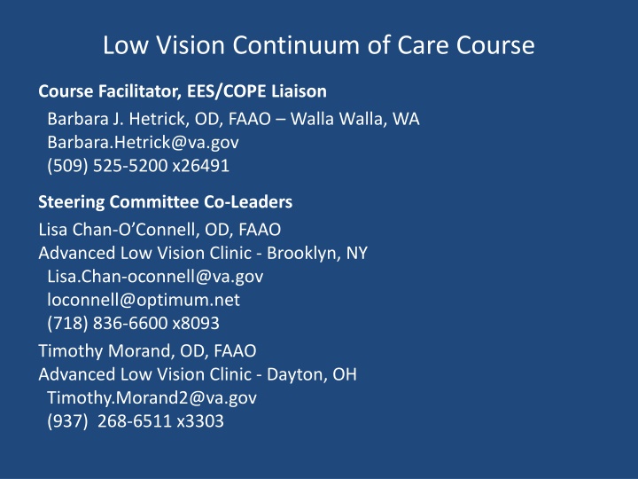 Low Vision Continuum of Care Course Project Overview