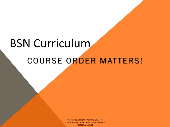 bsn curriculum n.w