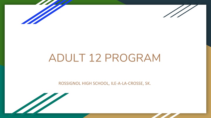 adult 12 program n.w