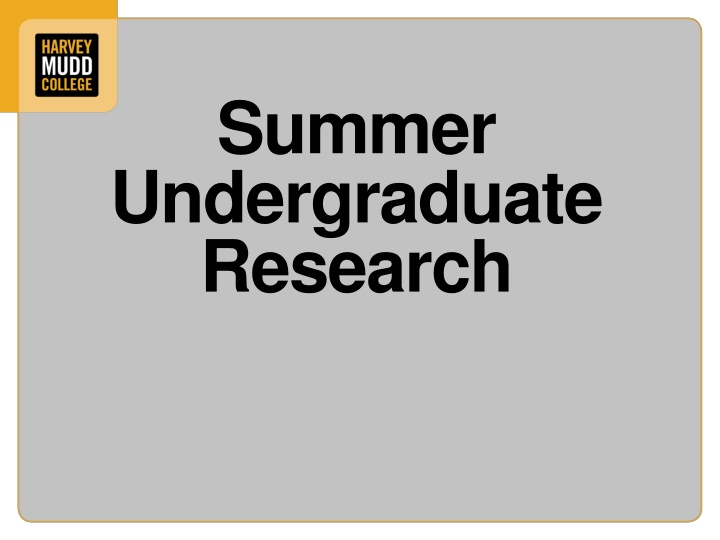 Summer Undergraduate Research Opportunities in STEM Fields