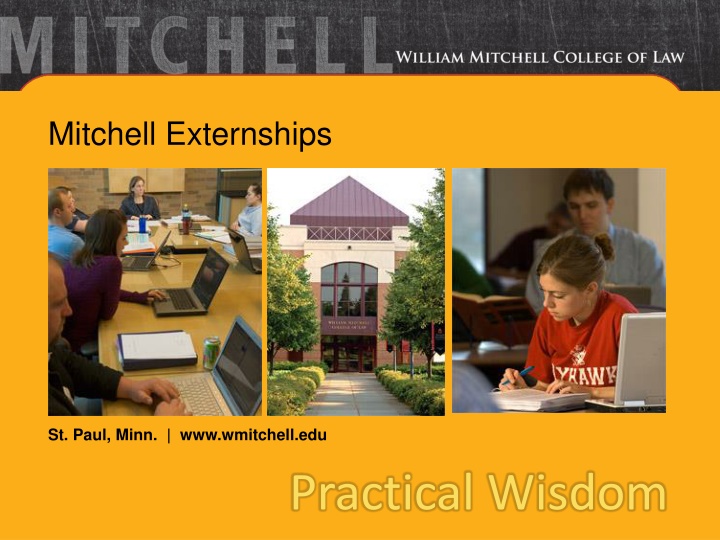 mitchell externships n.w