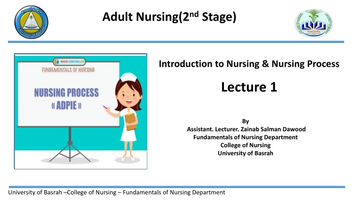 adult nursing 2 nd stage n.w