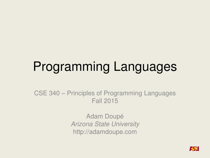 programming languages n.w
