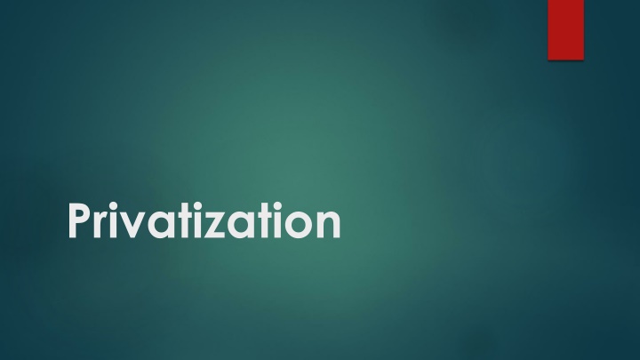 privatization n.w