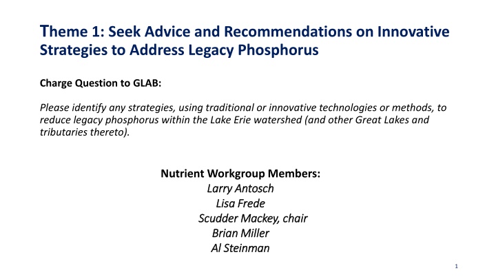 Strategies to Address Legacy Phosphorus in Lake Erie Watershed