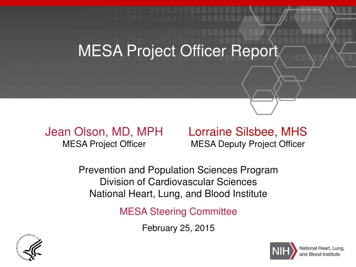 mesa project officer report n.w