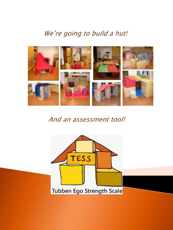 and an assessment tool n.w