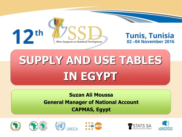 supply and use tables in egypt n.w