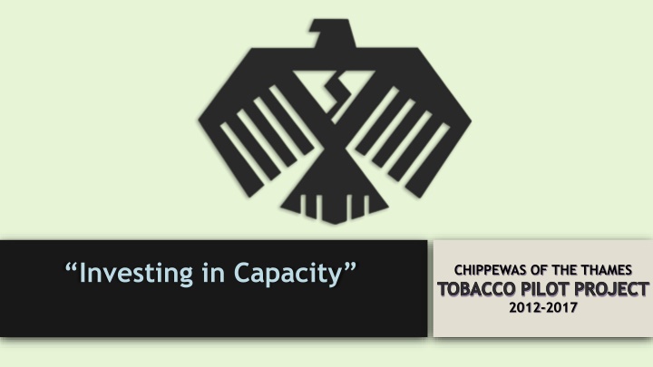 investing in capacity n.w