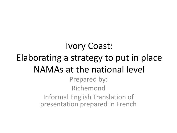 Strategy for Implementing NAMAs at National Level in Ivory Coast