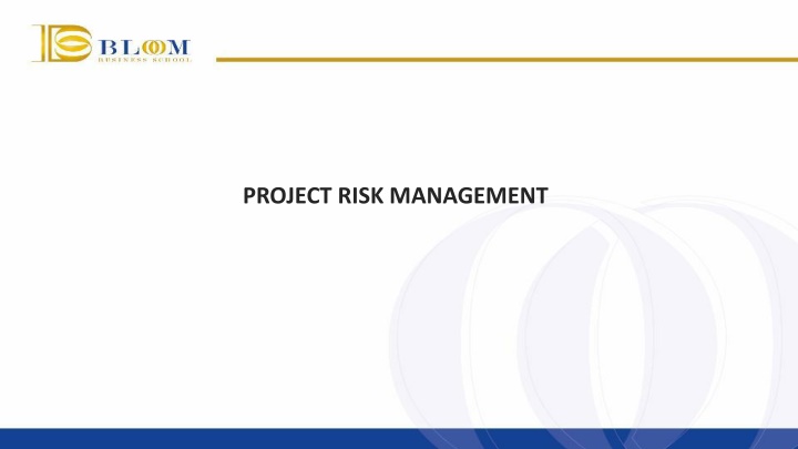 Project Risk Management Overview