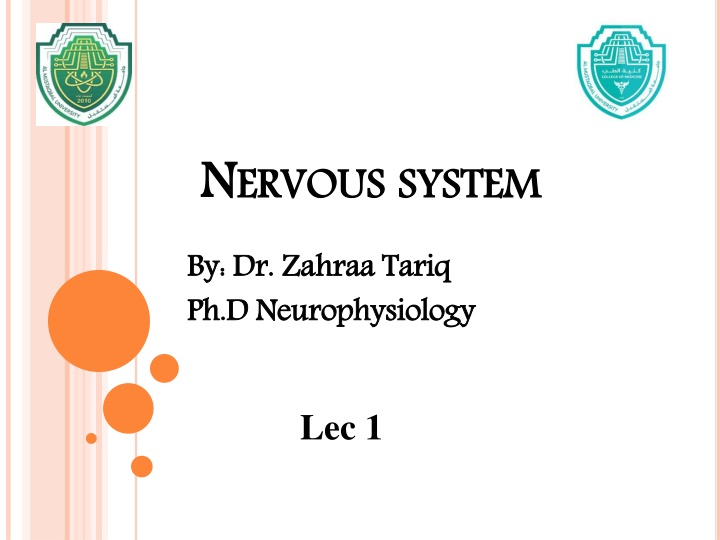 n n ervous n.w