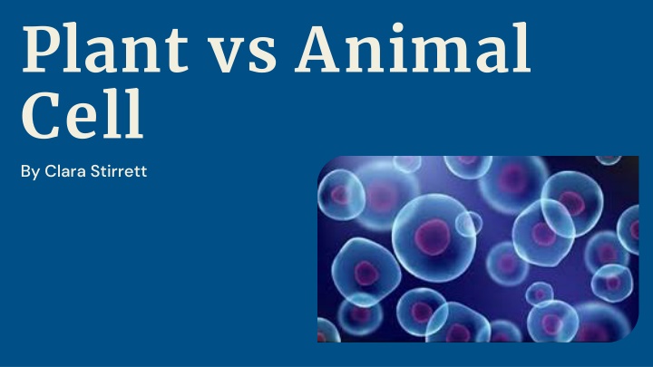 plant vs animal cell by clara stirrett n.w