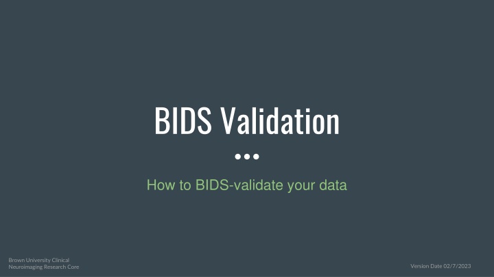 Brown University BIDS Validation Guide