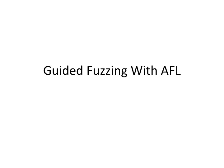 guided fuzzing with afl n.w