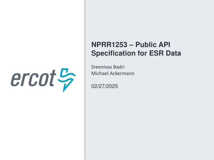 nprr1253 public api specification for esr data n.w