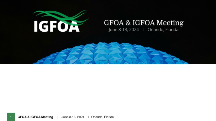 Government Audit Status and Action Plan Update