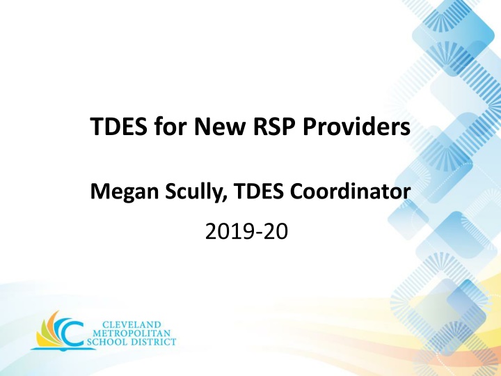 tdes for new rsp providers n.w