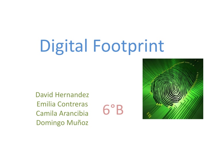 digital footprint n.w