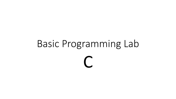 basic programming lab c n.w