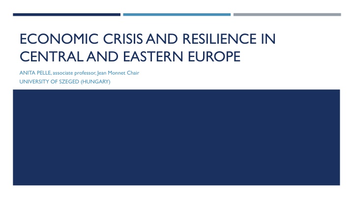 economic crisis and resilience in central n.w