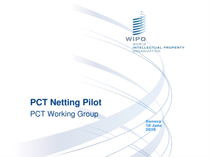 pct netting pilot pct working group n.w