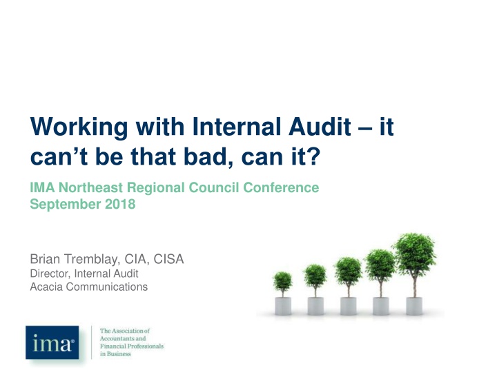 Working with Internal Audit