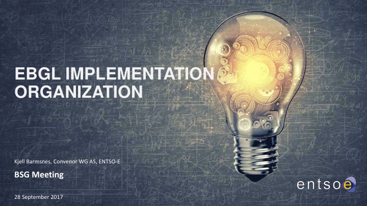 ebgl implementation organization n.w