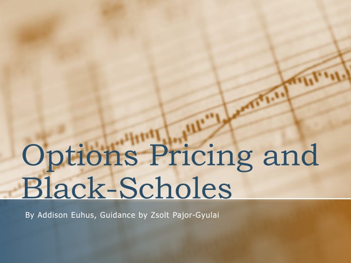 options pricing and black scholes n.w