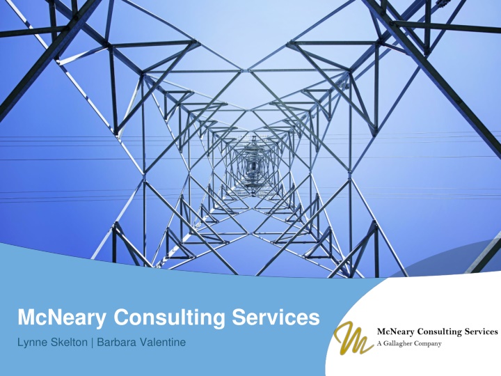 mcneary consulting services n.w