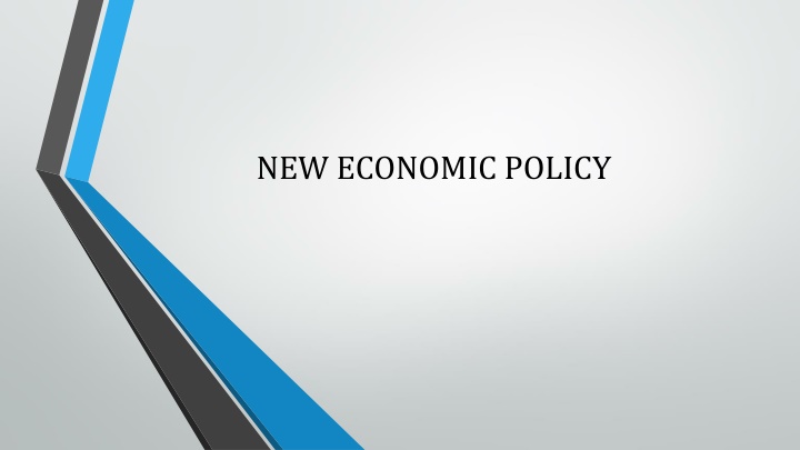 Overview of the New Economic Policy of India