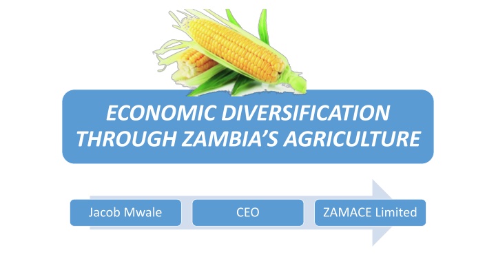 economic diversification through zambia n.w