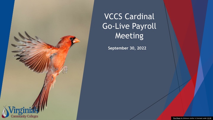 VCCS Cardinal Go-Live Payroll Meeting Summary