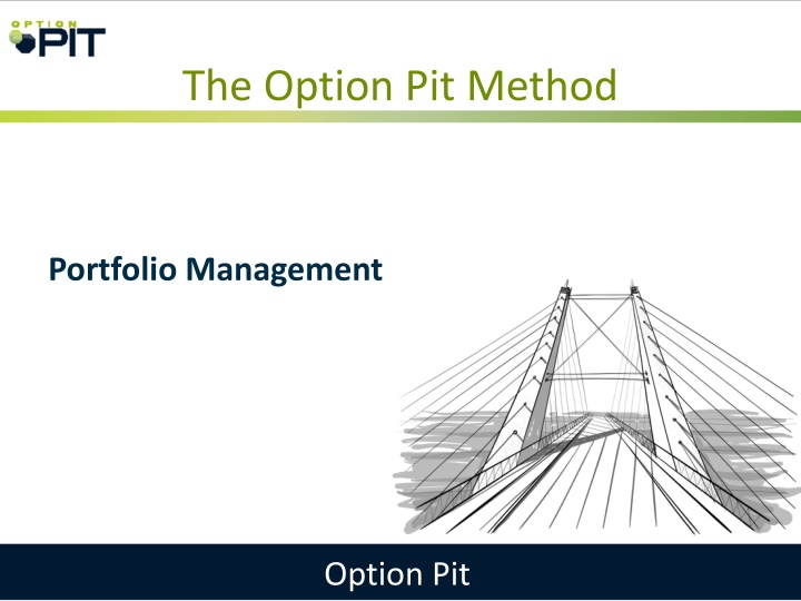 the option pit method n.w