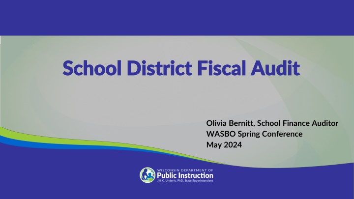 school district fiscal audit school district n.w