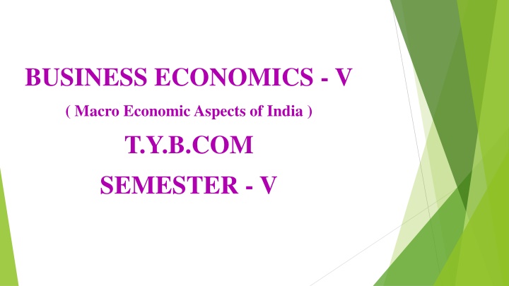 business economics v n.w